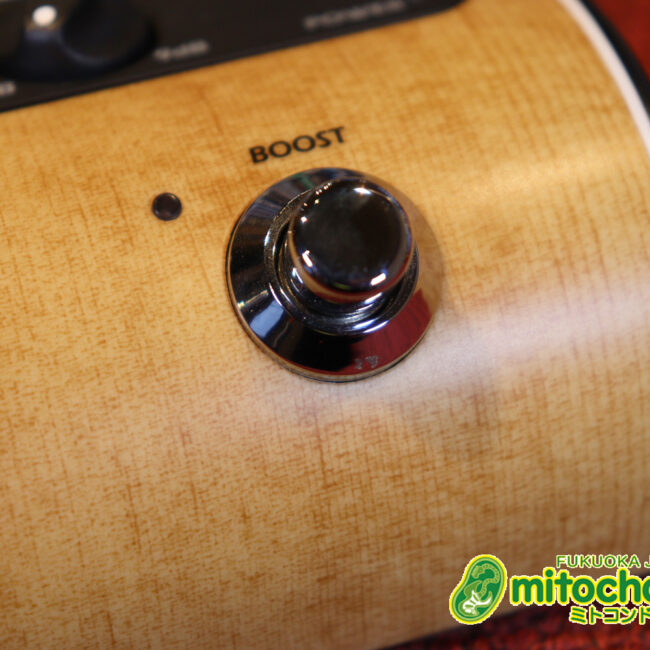 アコースティック用のプリアンプ、エフェクター、アコースティックモデリングを搭載！チューナー付！