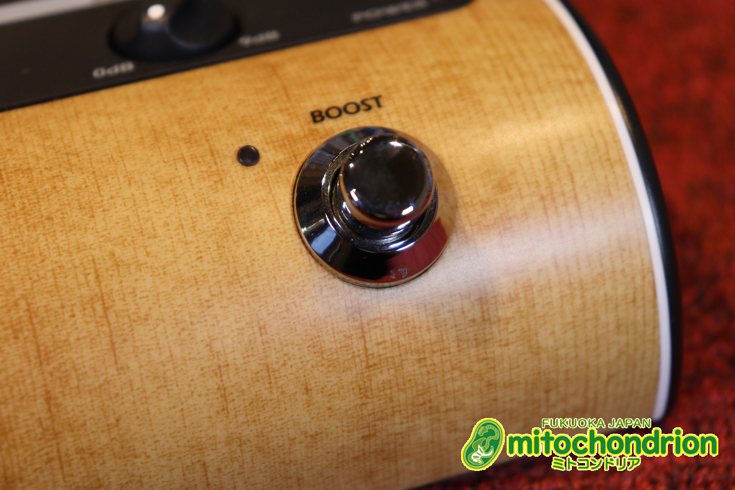 アコースティック用のプリアンプ、エフェクター、アコースティックモデリングを搭載！チューナー付！