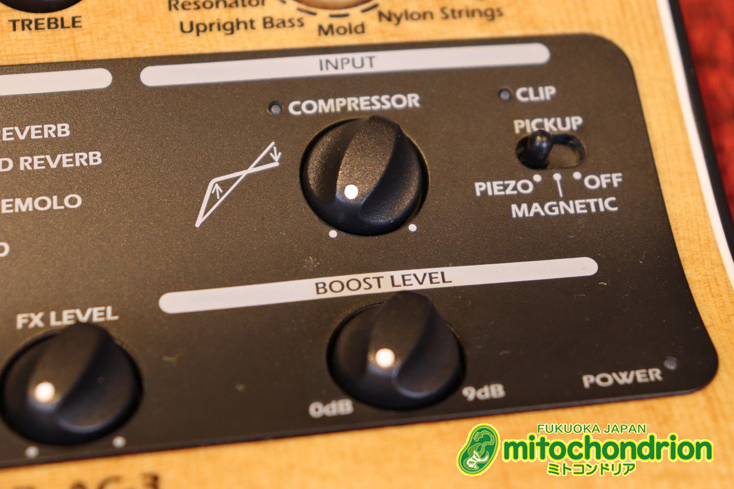 アコースティック用のプリアンプ、エフェクター、アコースティックモデリングを搭載！チューナー付！