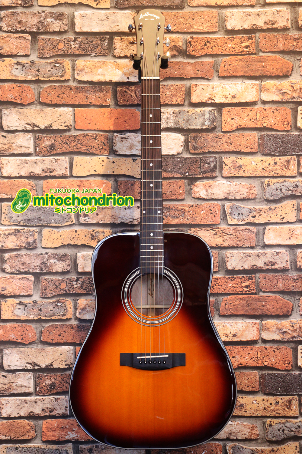 これから始めるプレイヤーにもお勧め！トップ材は単板です。クリップチューナー付き！