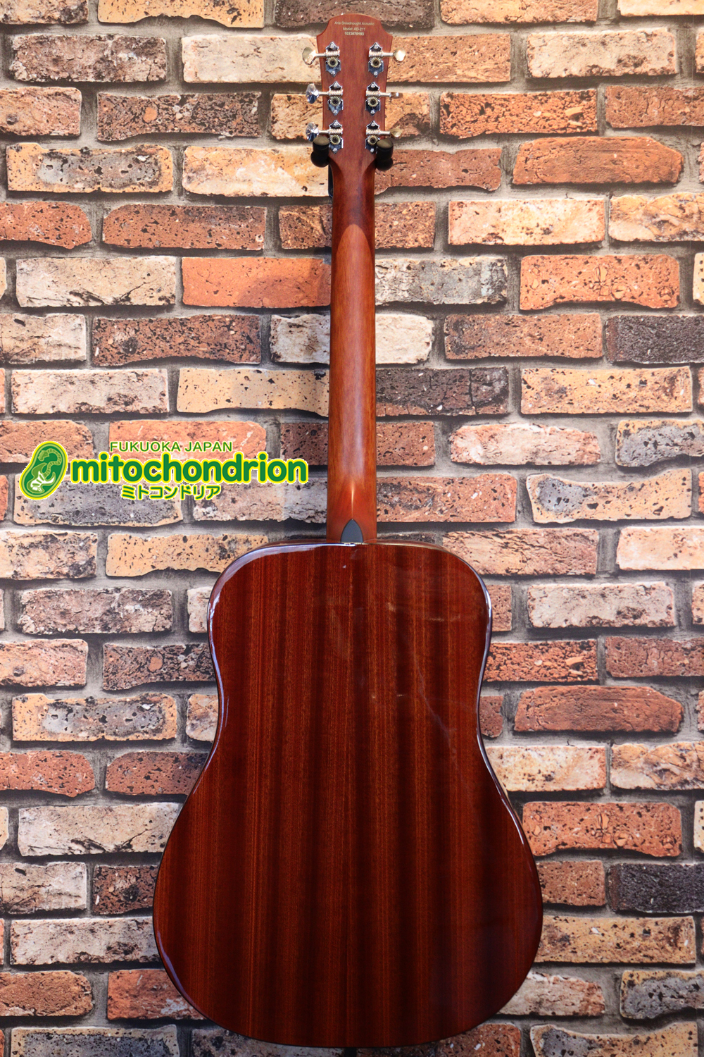 これから始めるプレイヤーにもお勧め！トップ材は単板です。クリップチューナー付き！