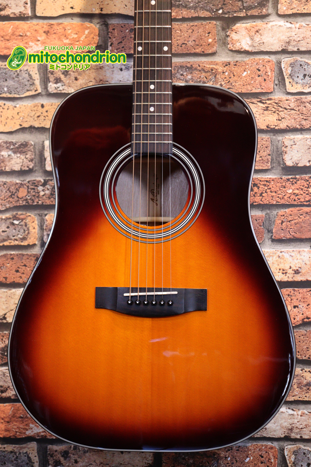 これから始めるプレイヤーにもお勧め！トップ材は単板です。クリップチューナー付き！