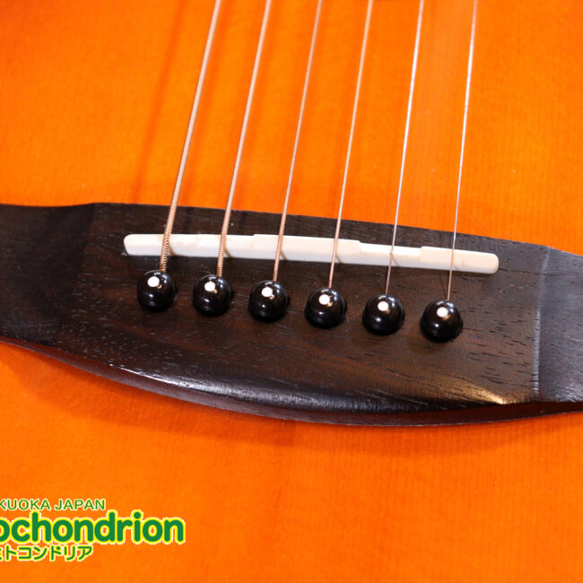 これから始めるプレイヤーにもお勧め！トップ材は単板です。クリップチューナー付き！