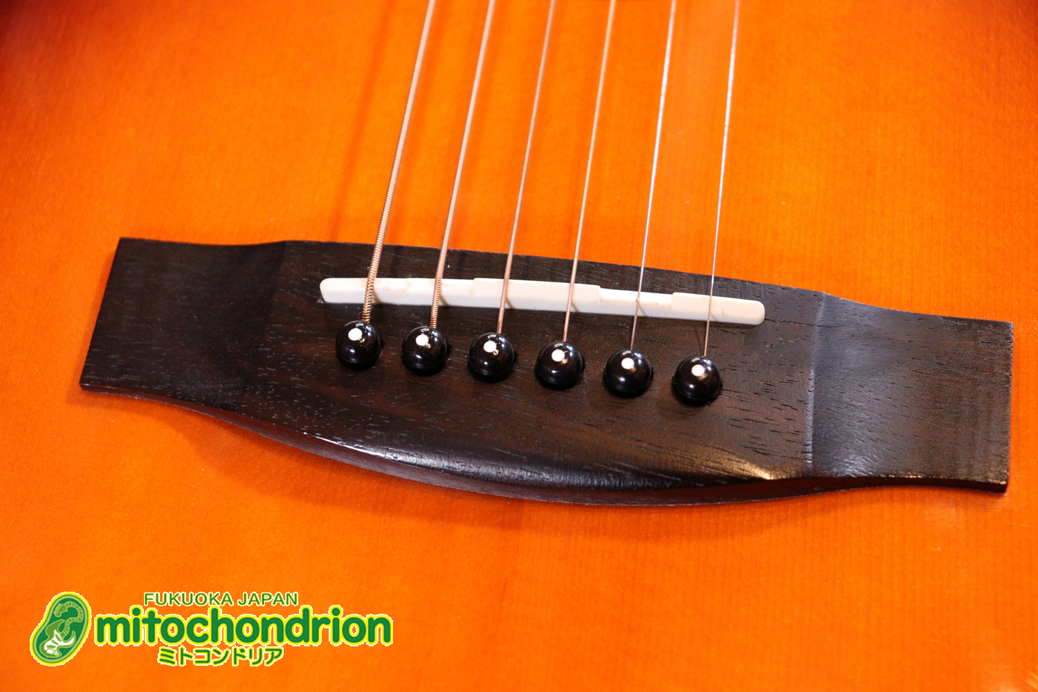 これから始めるプレイヤーにもお勧め！トップ材は単板です。クリップチューナー付き！