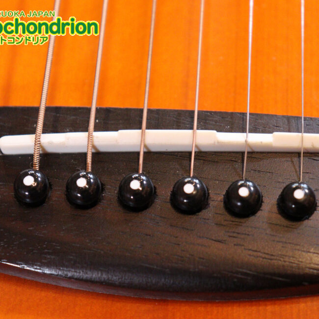 これから始めるプレイヤーにもお勧め！トップ材は単板です。クリップチューナー付き！