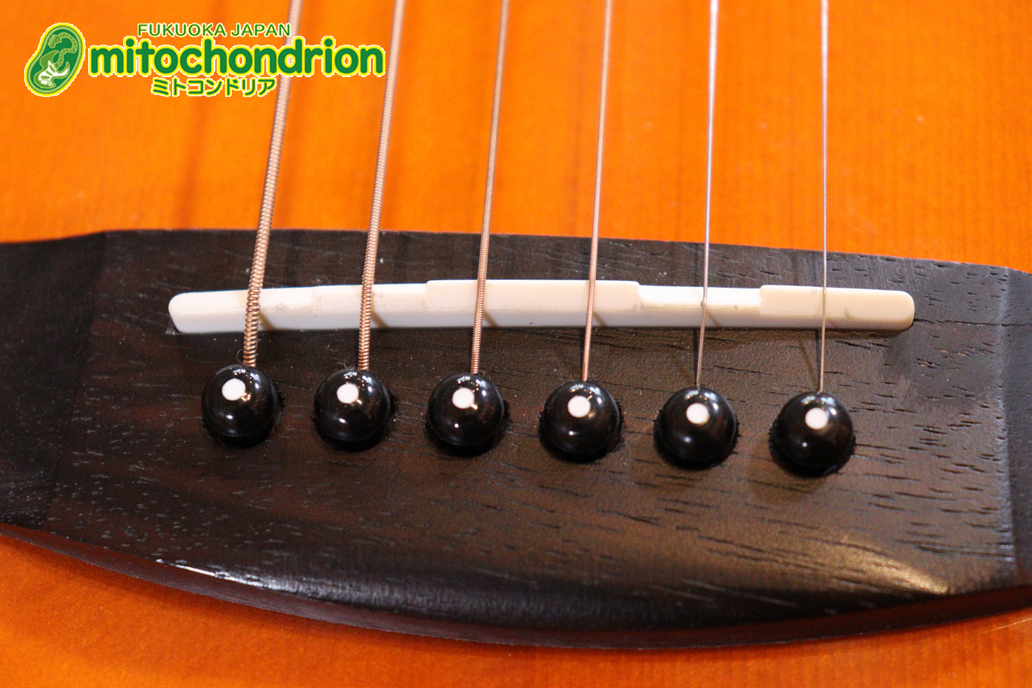 これから始めるプレイヤーにもお勧め！トップ材は単板です。クリップチューナー付き！