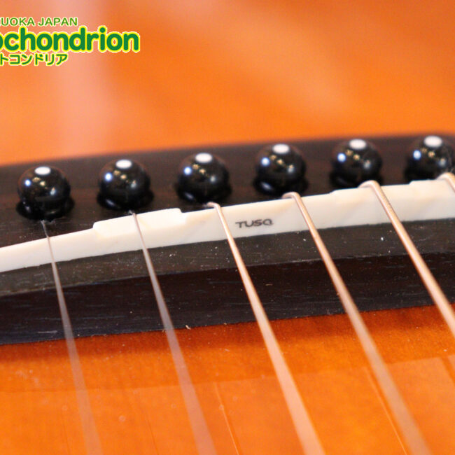 これから始めるプレイヤーにもお勧め！トップ材は単板です。クリップチューナー付き！