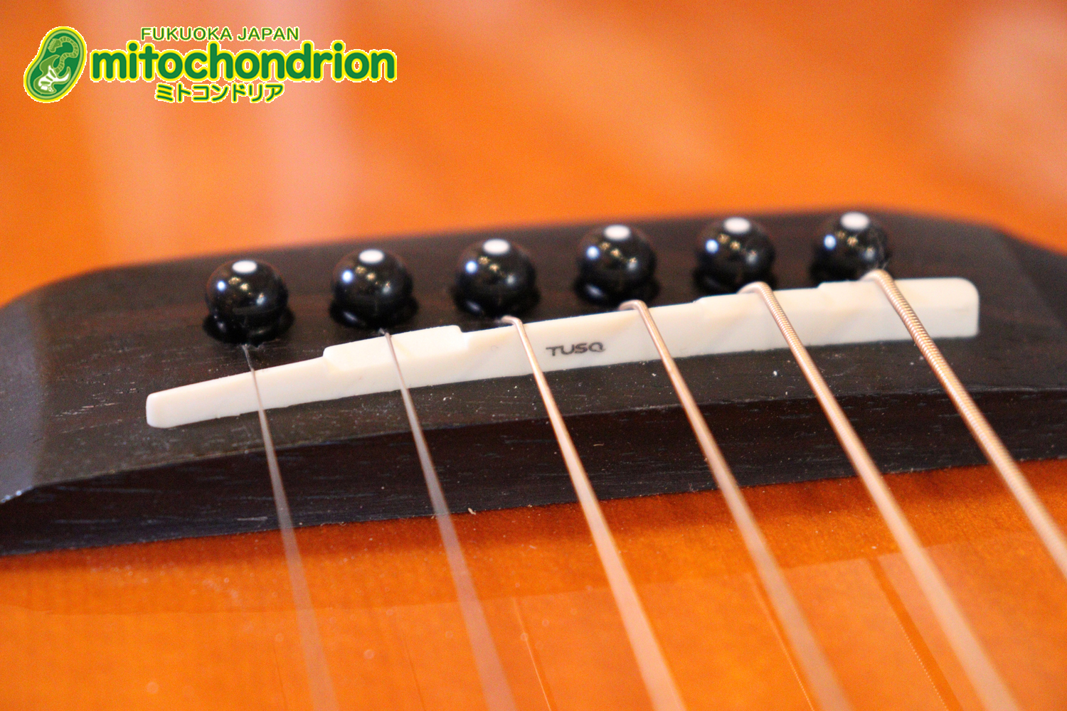 これから始めるプレイヤーにもお勧め！トップ材は単板です。クリップチューナー付き！