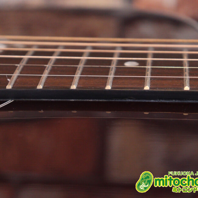 これから始めるプレイヤーにもお勧め！トップ材は単板です。クリップチューナー付き！