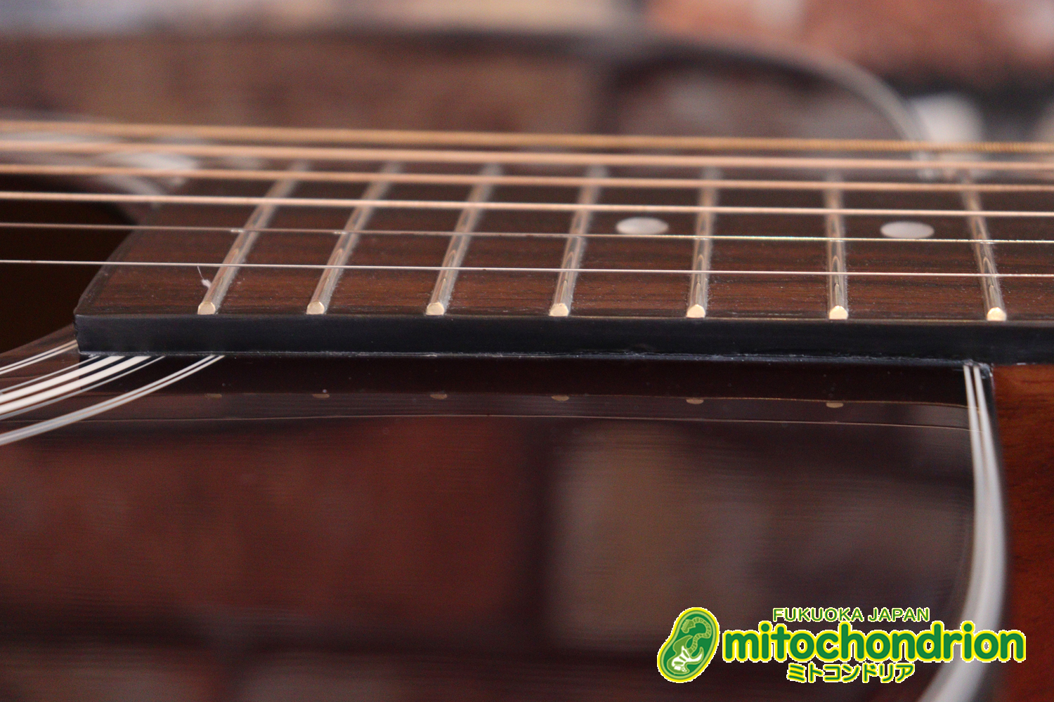 これから始めるプレイヤーにもお勧め！トップ材は単板です。クリップチューナー付き！