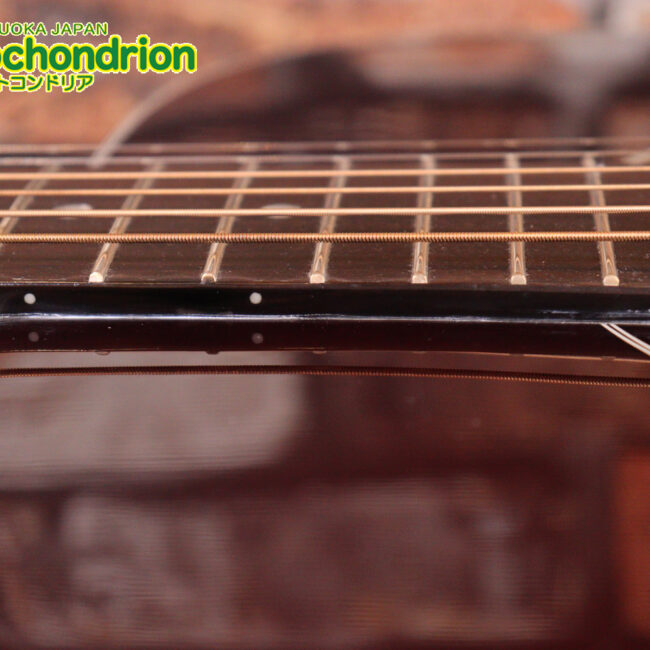 これから始めるプレイヤーにもお勧め！トップ材は単板です。クリップチューナー付き！