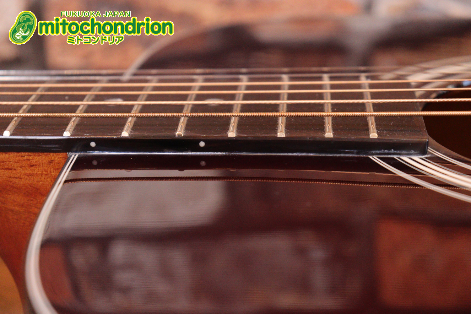 これから始めるプレイヤーにもお勧め！トップ材は単板です。クリップチューナー付き！