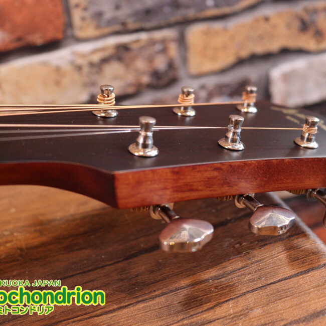 これから始めるプレイヤーにもお勧め！トップ材は単板です。クリップチューナー付き！