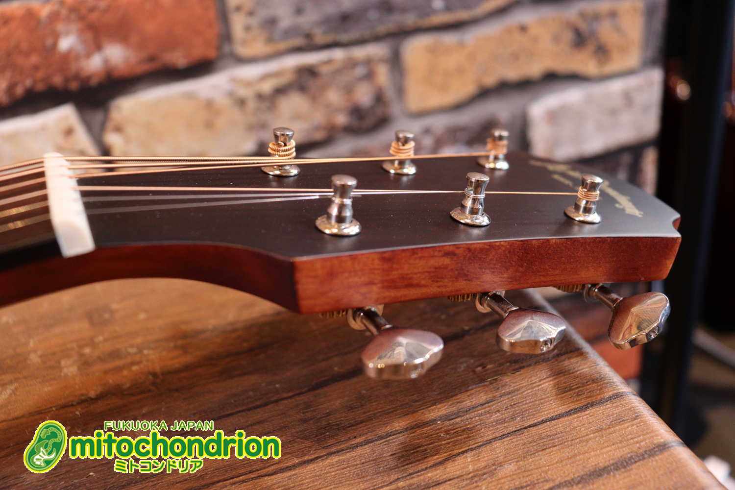 これから始めるプレイヤーにもお勧め！トップ材は単板です。クリップチューナー付き！