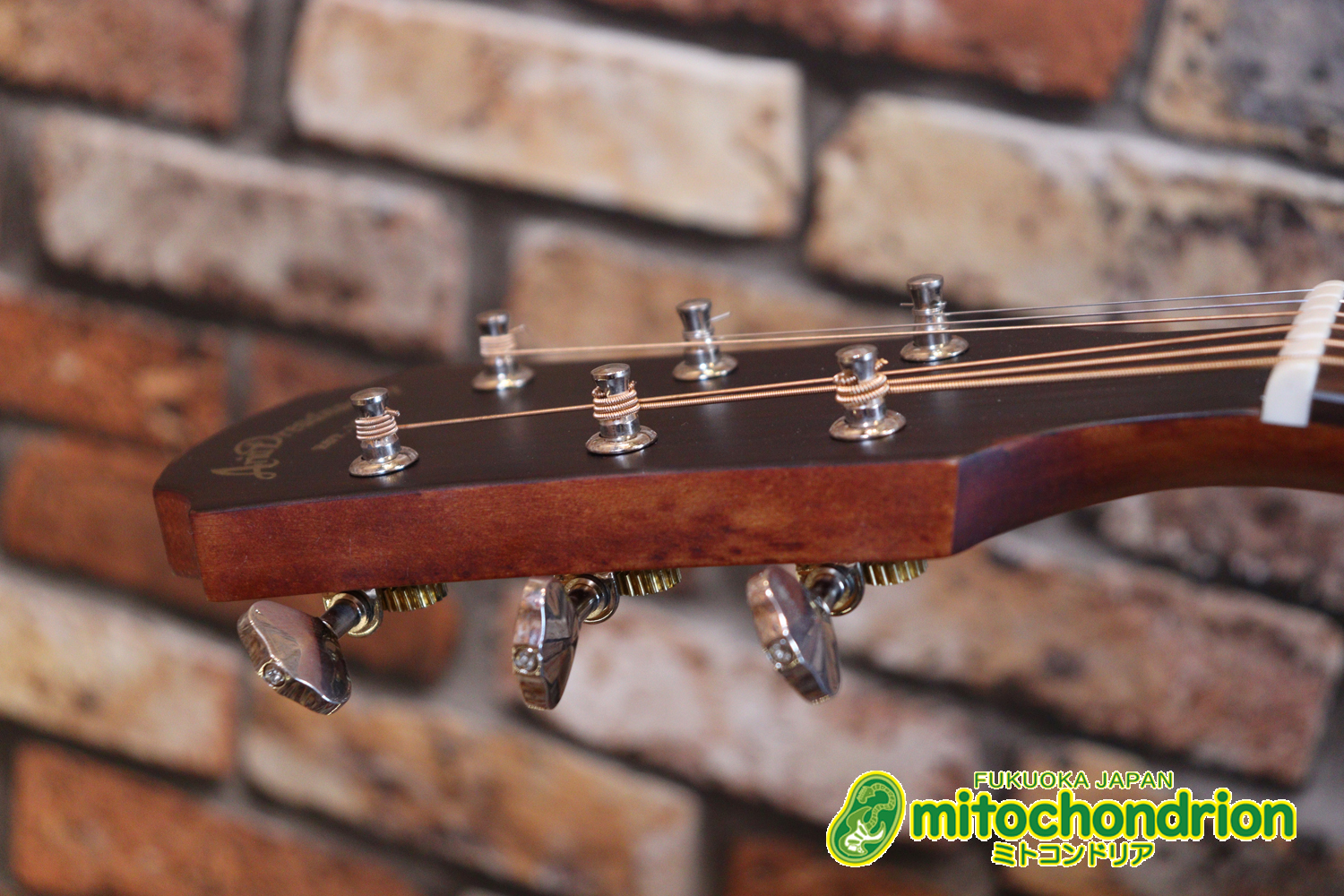 これから始めるプレイヤーにもお勧め！トップ材は単板です。クリップチューナー付き！