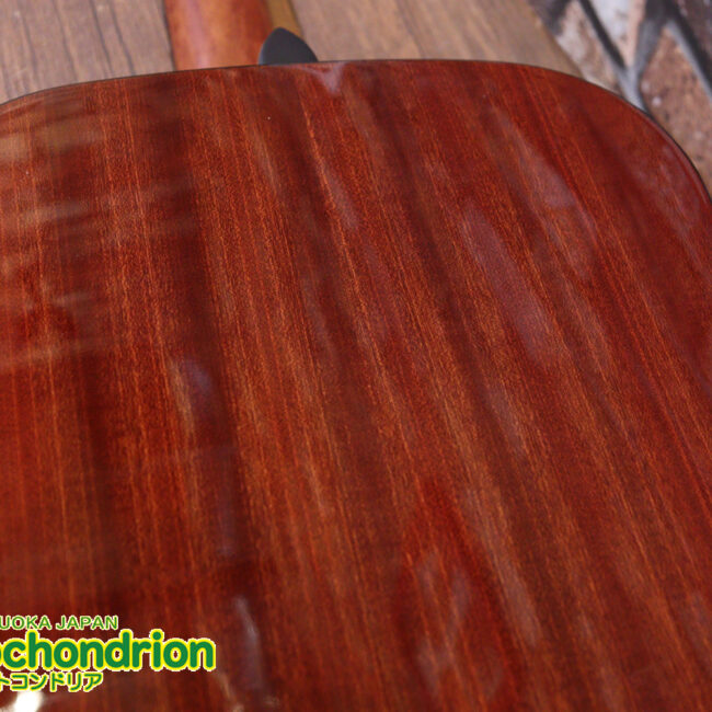 これから始めるプレイヤーにもお勧め！トップ材は単板です。クリップチューナー付き！