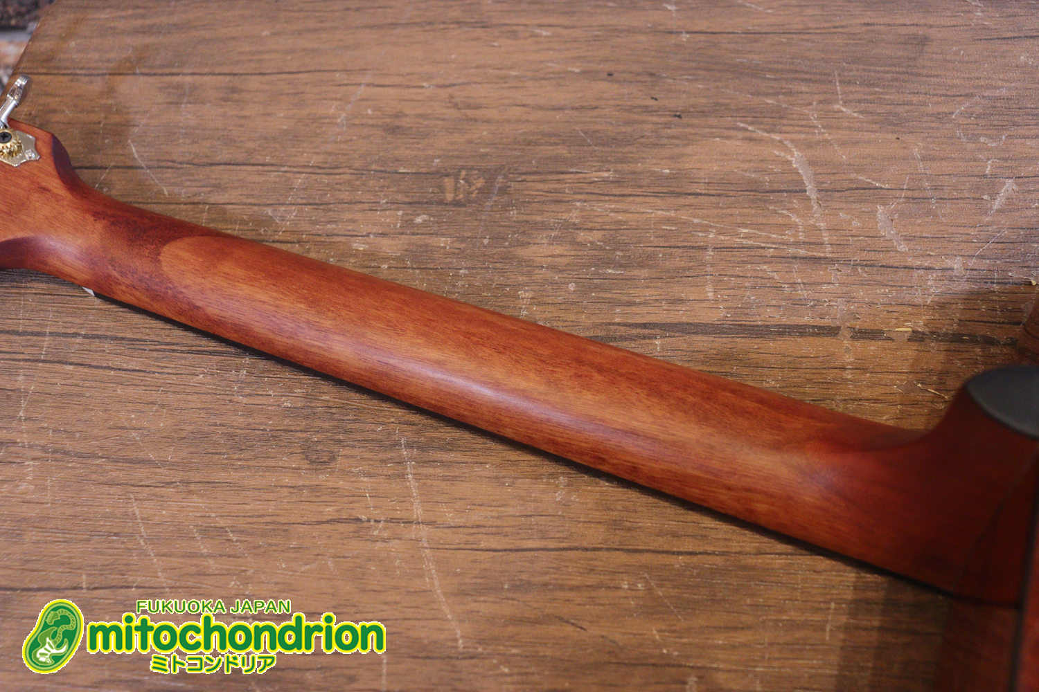 これから始めるプレイヤーにもお勧め！トップ材は単板です。クリップチューナー付き！