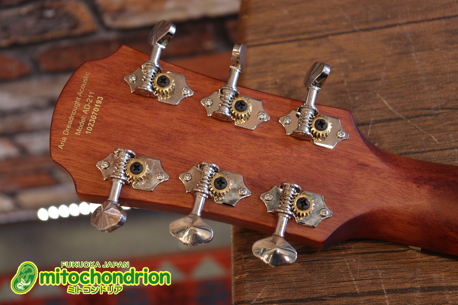 これから始めるプレイヤーにもお勧め！トップ材は単板です。クリップチューナー付き！