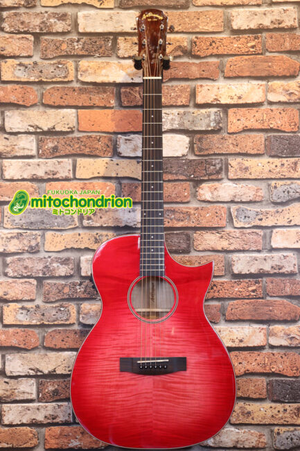 これから始めるプレイヤーにもお勧め！チューニングメーターも搭載！