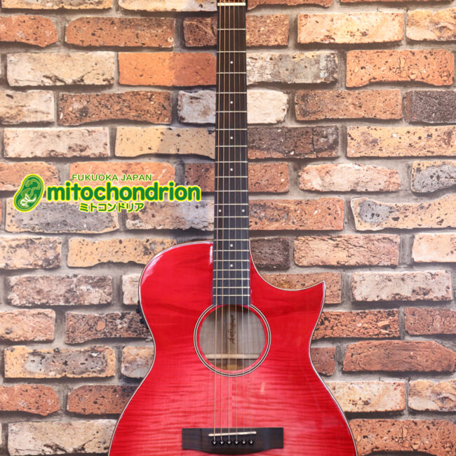 これから始めるプレイヤーにもお勧め！チューニングメーターも搭載！