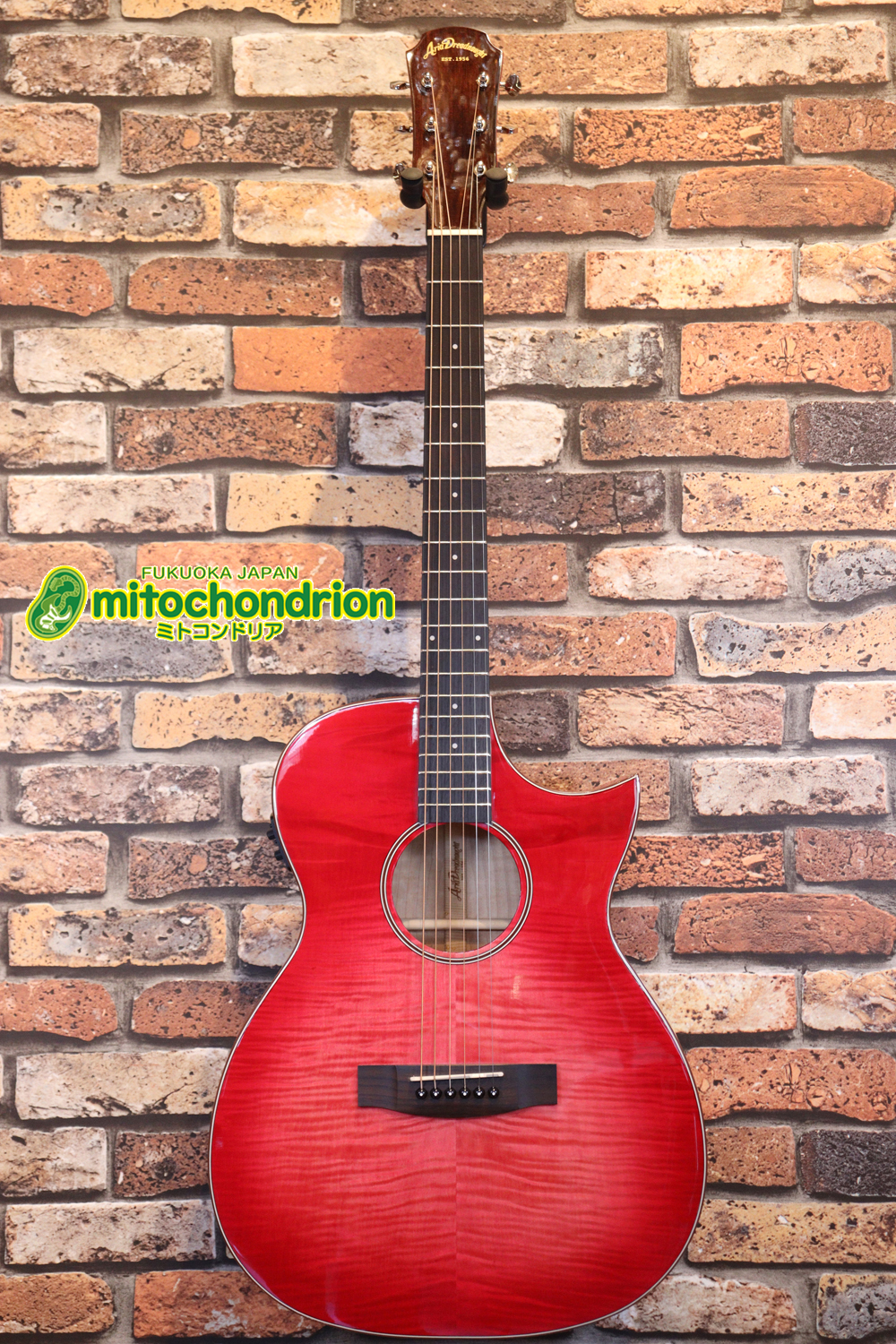 これから始めるプレイヤーにもお勧め！チューニングメーターも搭載！