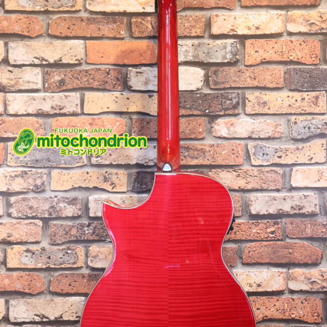 これから始めるプレイヤーにもお勧め！チューニングメーターも搭載！