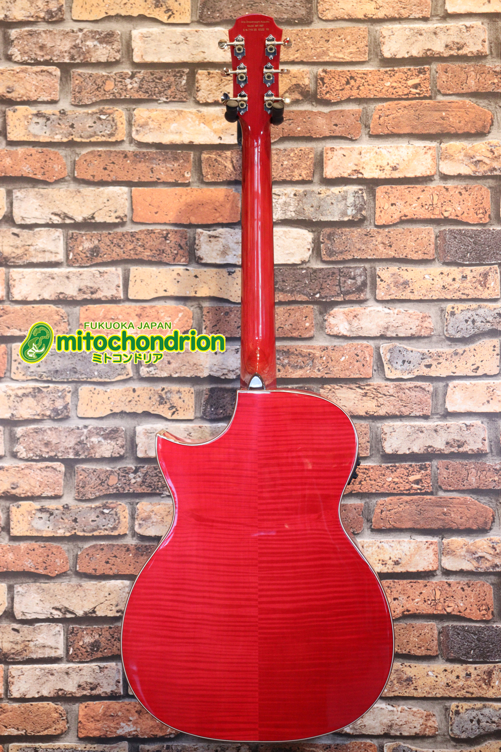 これから始めるプレイヤーにもお勧め！チューニングメーターも搭載！