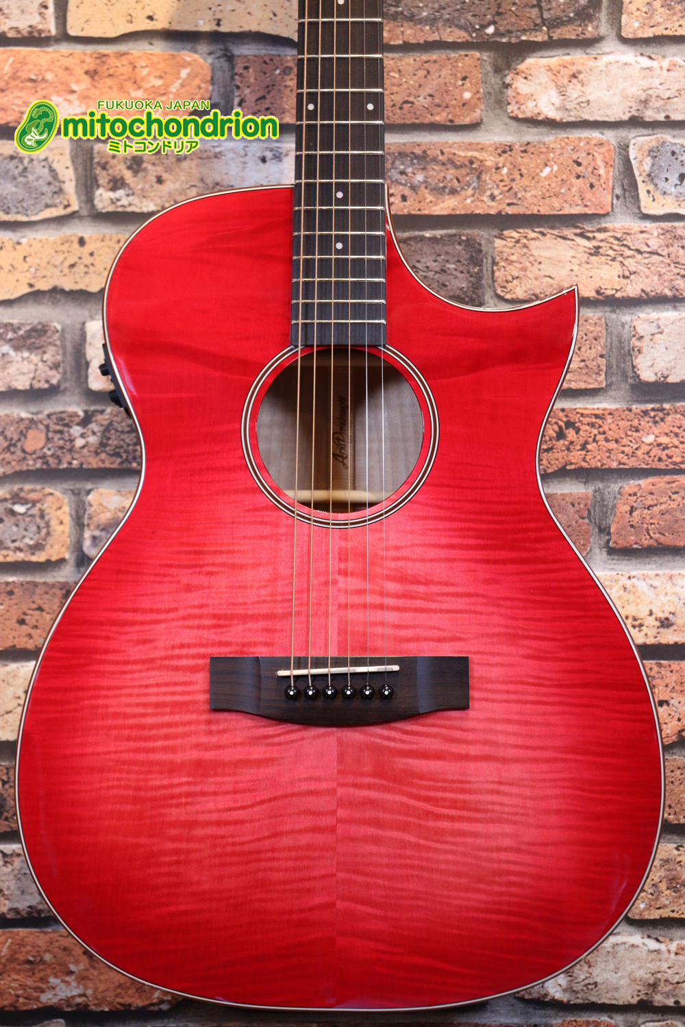 これから始めるプレイヤーにもお勧め！チューニングメーターも搭載！