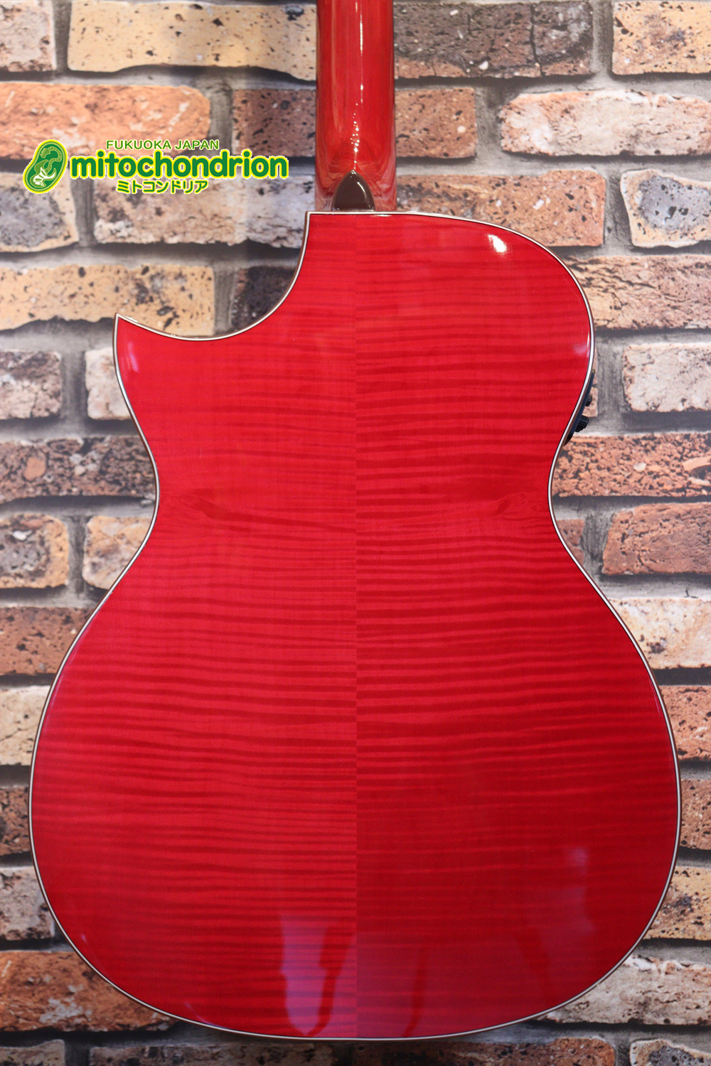 これから始めるプレイヤーにもお勧め！チューニングメーターも搭載！