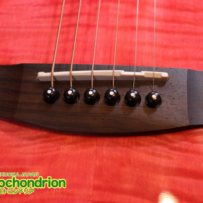 これから始めるプレイヤーにもお勧め！チューニングメーターも搭載！