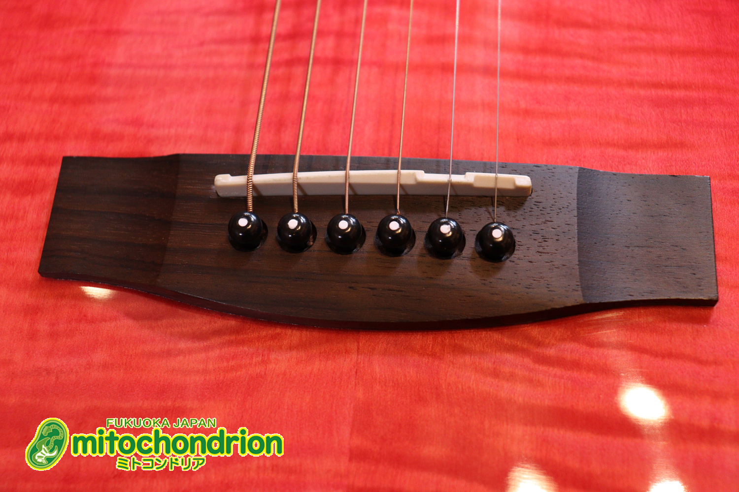 これから始めるプレイヤーにもお勧め！チューニングメーターも搭載！