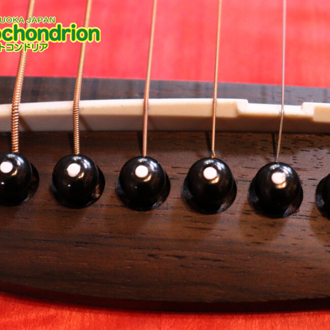 これから始めるプレイヤーにもお勧め！チューニングメーターも搭載！