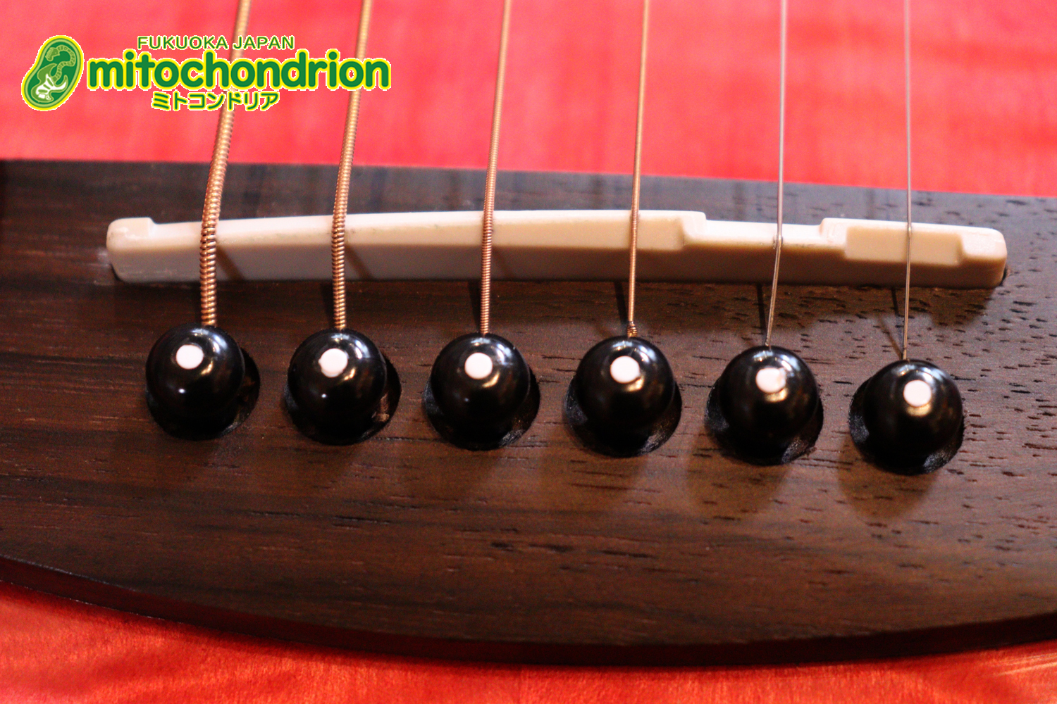 これから始めるプレイヤーにもお勧め！チューニングメーターも搭載！