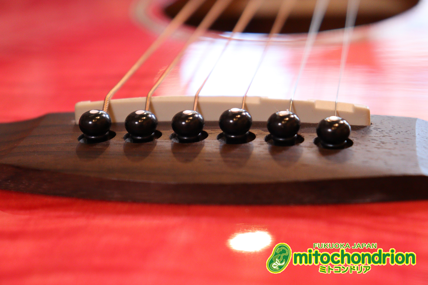 これから始めるプレイヤーにもお勧め！チューニングメーターも搭載！