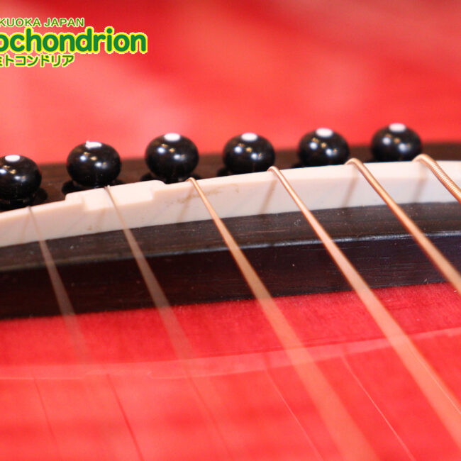 これから始めるプレイヤーにもお勧め！チューニングメーターも搭載！