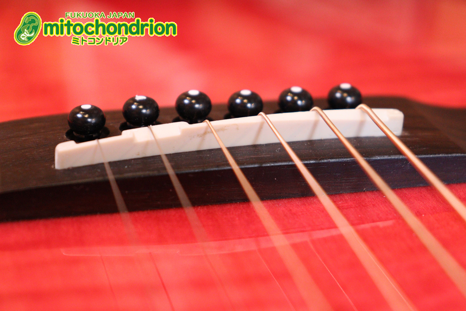 これから始めるプレイヤーにもお勧め！チューニングメーターも搭載！