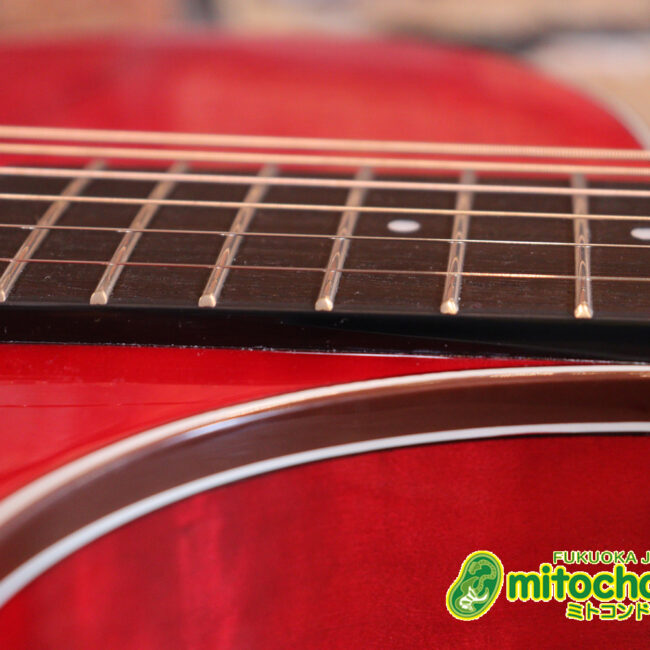 これから始めるプレイヤーにもお勧め！チューニングメーターも搭載！