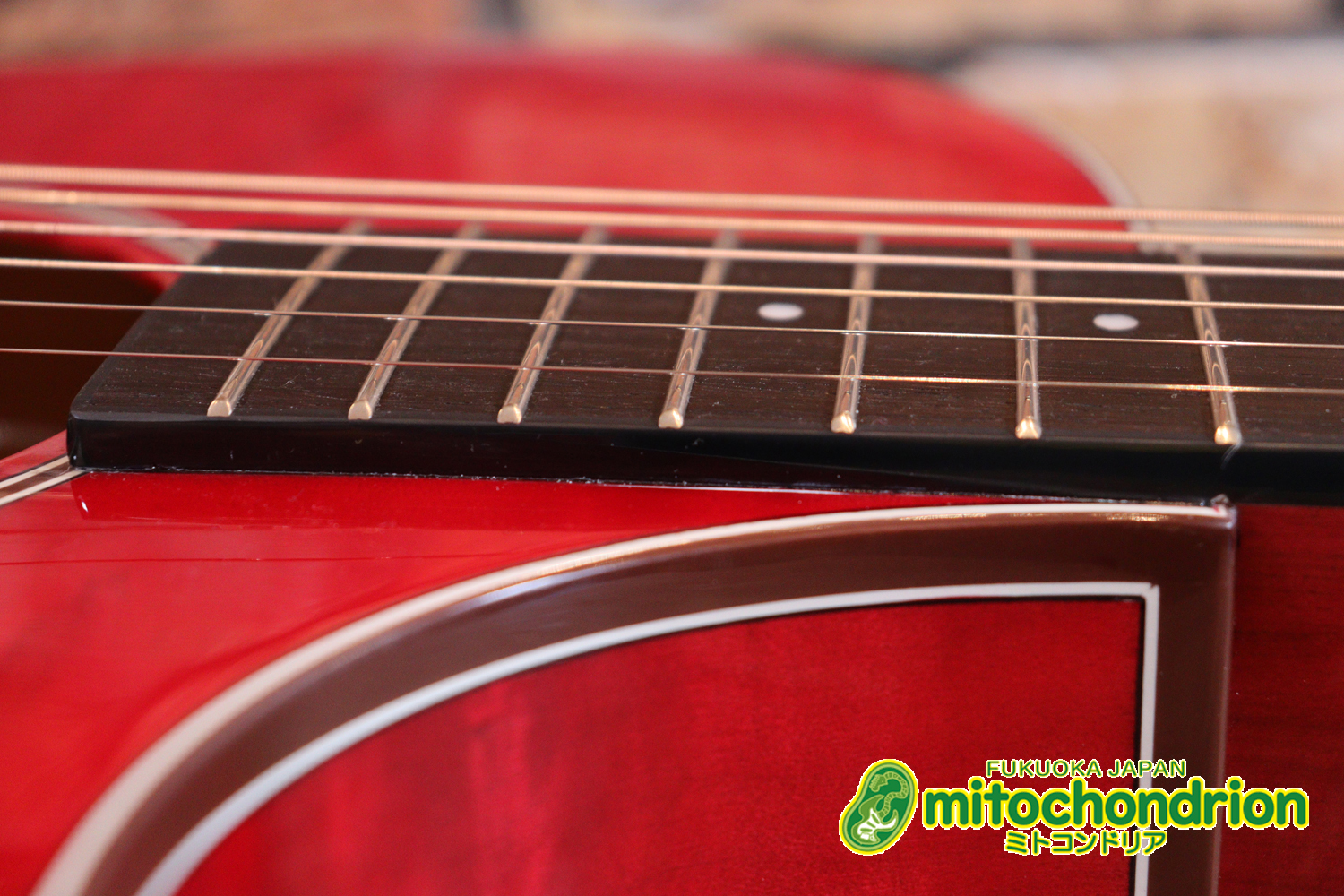 これから始めるプレイヤーにもお勧め！チューニングメーターも搭載！