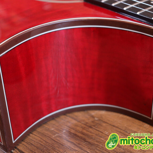 これから始めるプレイヤーにもお勧め！チューニングメーターも搭載！