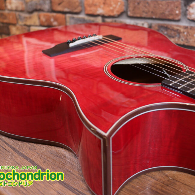 これから始めるプレイヤーにもお勧め！チューニングメーターも搭載！