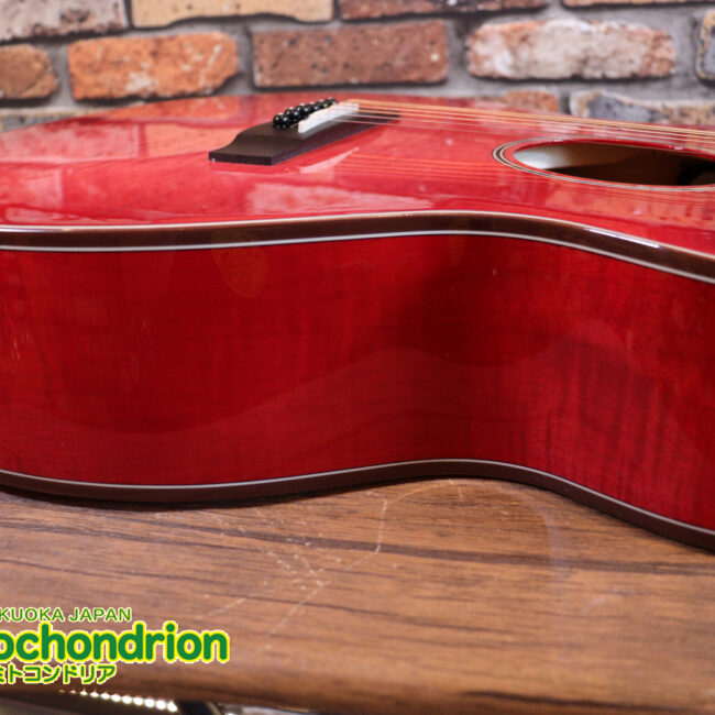 これから始めるプレイヤーにもお勧め！チューニングメーターも搭載！