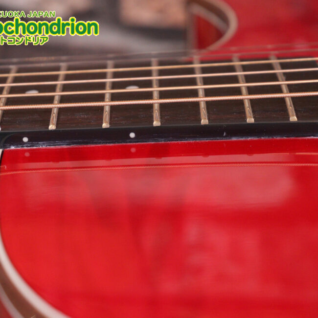 これから始めるプレイヤーにもお勧め！チューニングメーターも搭載！