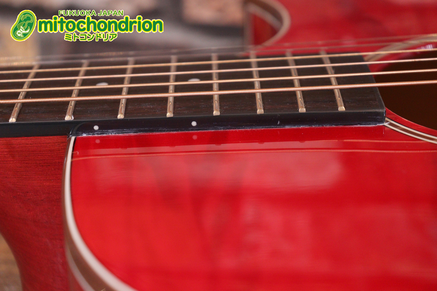 これから始めるプレイヤーにもお勧め！チューニングメーターも搭載！