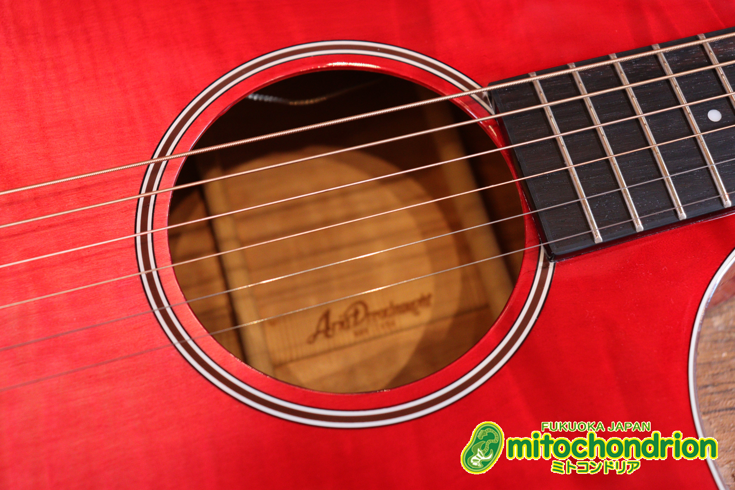 これから始めるプレイヤーにもお勧め！チューニングメーターも搭載！