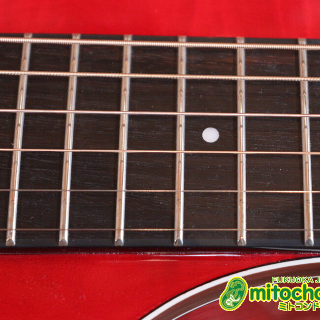 これから始めるプレイヤーにもお勧め！チューニングメーターも搭載！