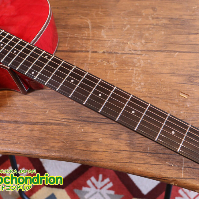 これから始めるプレイヤーにもお勧め！チューニングメーターも搭載！