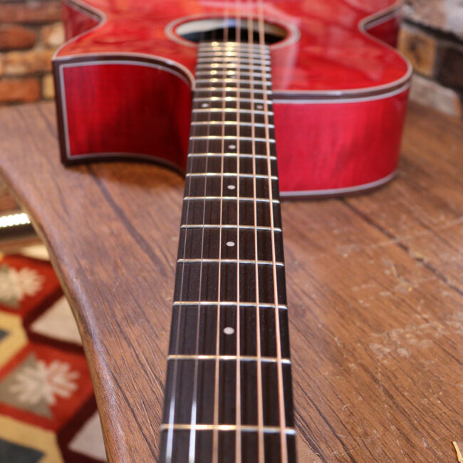 これから始めるプレイヤーにもお勧め！チューニングメーターも搭載！