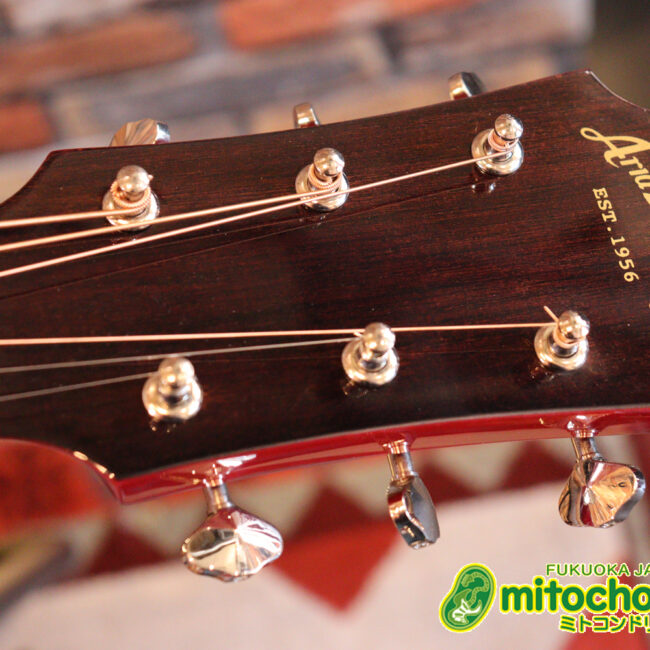 これから始めるプレイヤーにもお勧め！チューニングメーターも搭載！