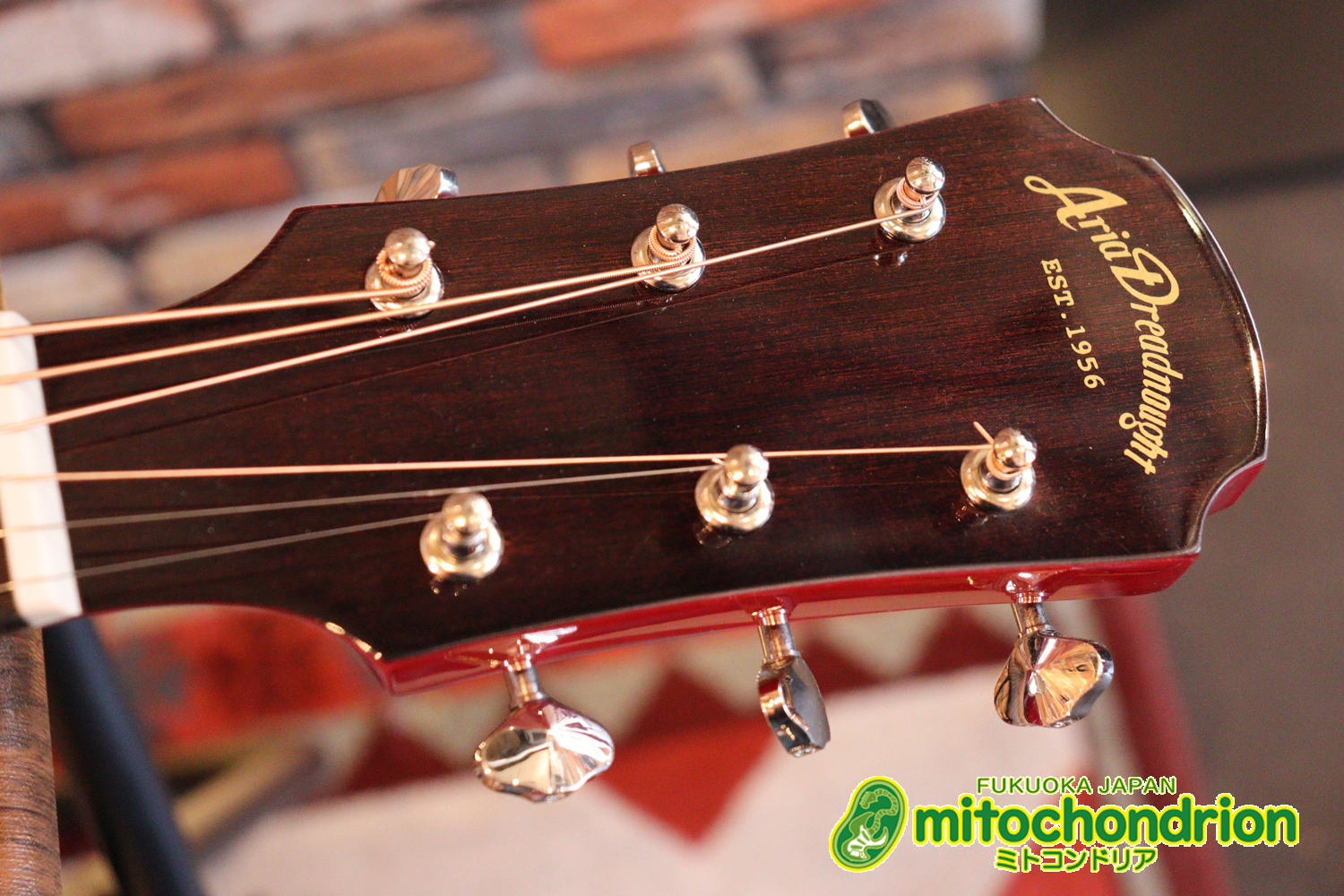 これから始めるプレイヤーにもお勧め！チューニングメーターも搭載！