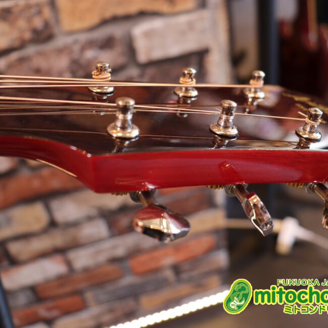 これから始めるプレイヤーにもお勧め！チューニングメーターも搭載！